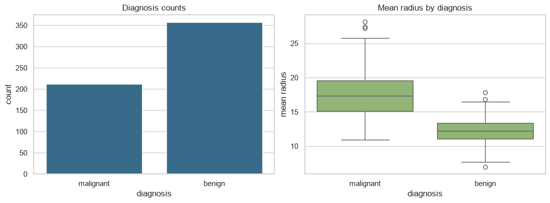 Breast cancer class balance and feature overview